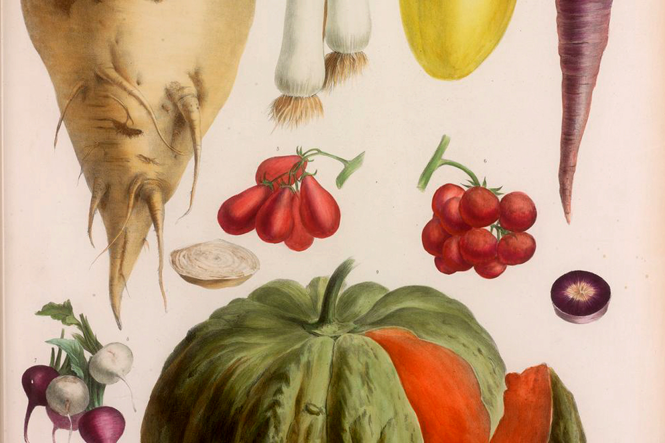 Inventaire des variétés locales