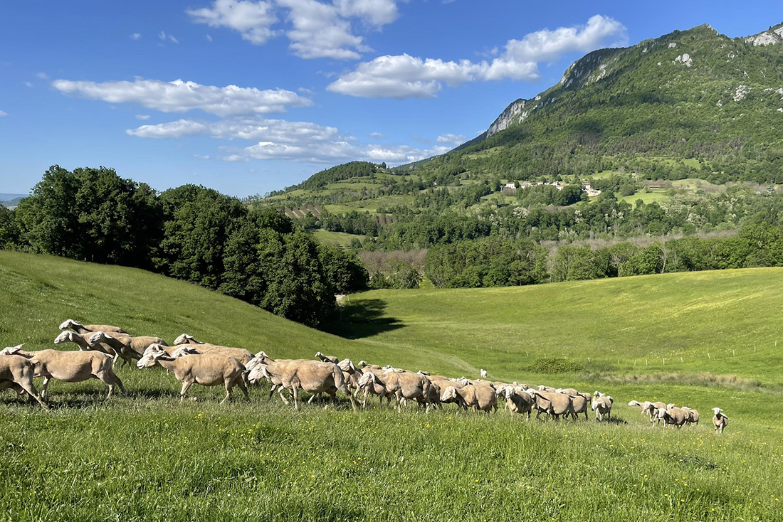 La Bergerie de la Rouye